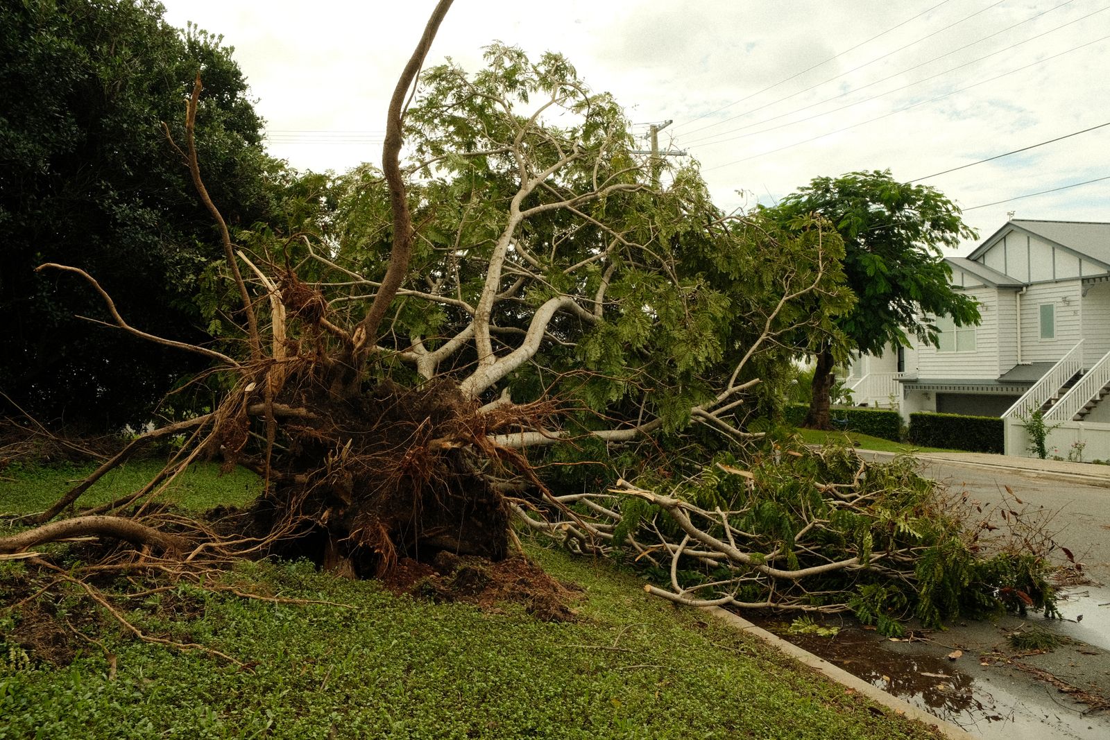 Storm damage